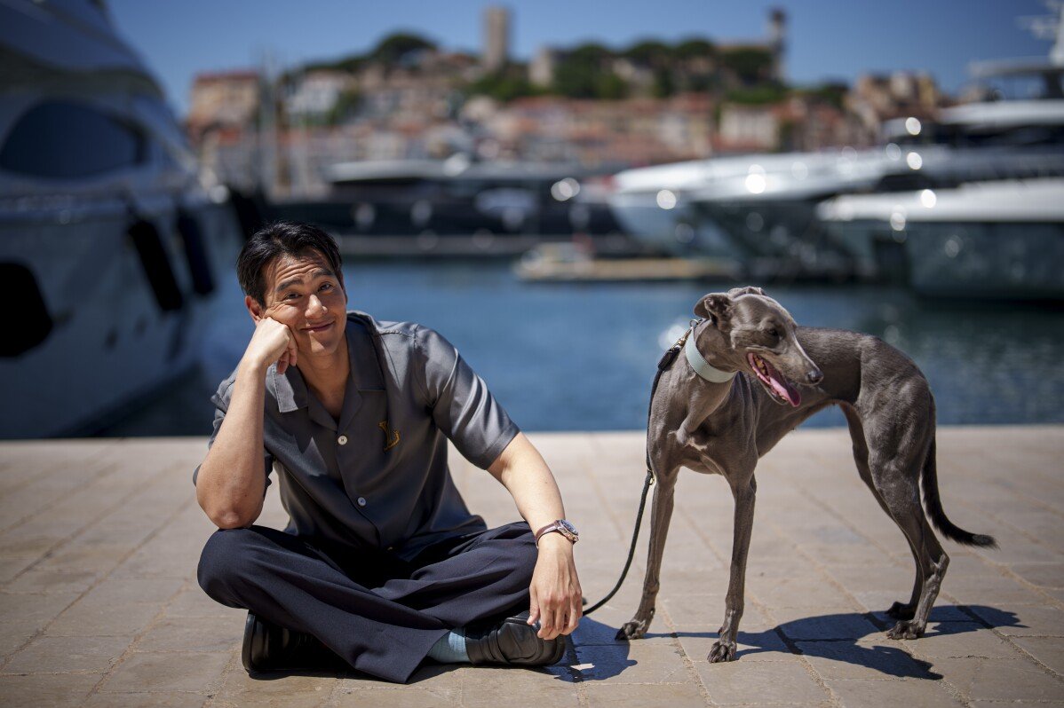 Le vere star di Cannes potrebbero essere i cani